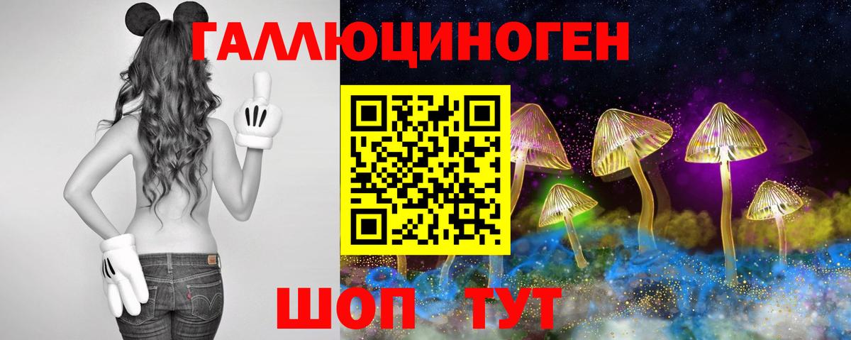Серпухов  Псилоцибиновые грибы Psilocybe  Вход с VPN 