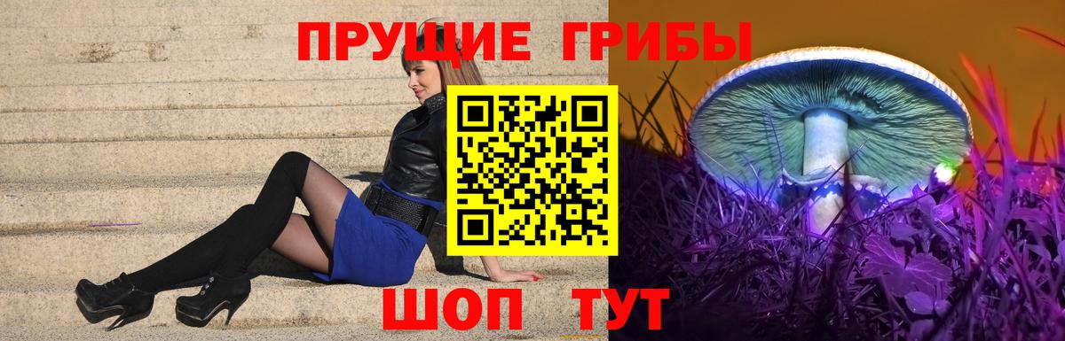 Галлюциногенные грибы Psilocybine cubensis Серпухов